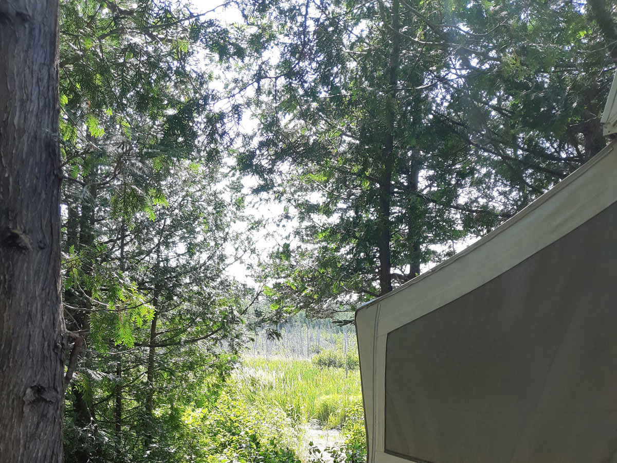 Camping du Lac des Robin en Gaspésie